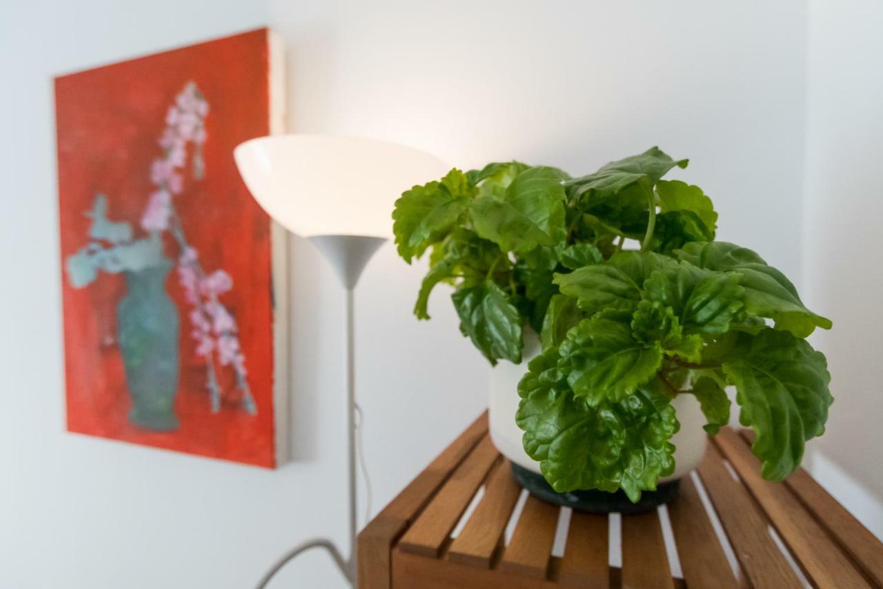 Apartamento La Galeria De San Antonio Cadiz Luaran gambar